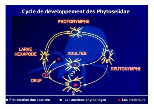 Les acariens des plantes