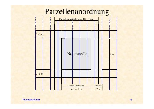 Sorten beim Ölkürbis.pdf