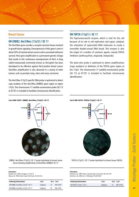 Oncology Probes