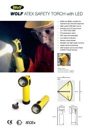 ATEX Safety Torch with LED Leaflet - Wolf Safety Lamp Company