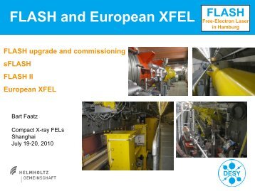 FLASH and European XFEL