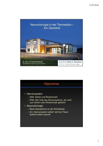 Neurochirurgie in der Tiermedizin - Tierklinik Bielefeld