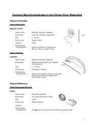 Common Macroinvertebrates in the Clinton River Watershed