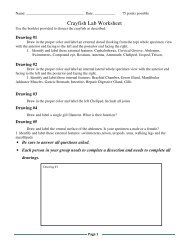 Crayfish Lab Worksheet - Mr.E Science