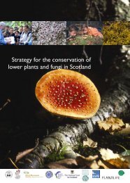 Strategy for the conservation of lower plants and fungi in Scotland