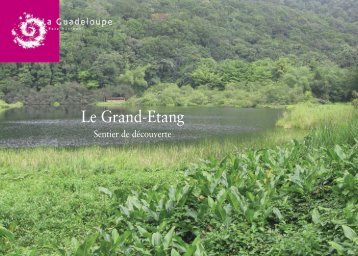 Grand-Ãtang - Parc national de la Guadeloupe