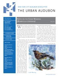 THE URBAN AUDUBON - New York City Audubon Society