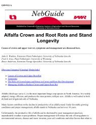 Alfalfa Crown and Root Rots and Stand Longevity