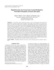 Rapid Invasion of a Great Lakes Coastal Wetland by Non ... - BioOne