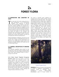 Chapter II : Forest Flora and Fauna