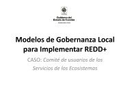 Modelos de Gobernanza Local para Implementar REDD+