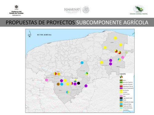 Modelos de Gobernanza Local para Implementar REDD+