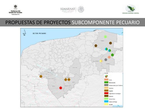 Modelos de Gobernanza Local para Implementar REDD+