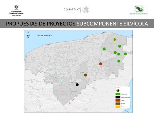 Modelos de Gobernanza Local para Implementar REDD+