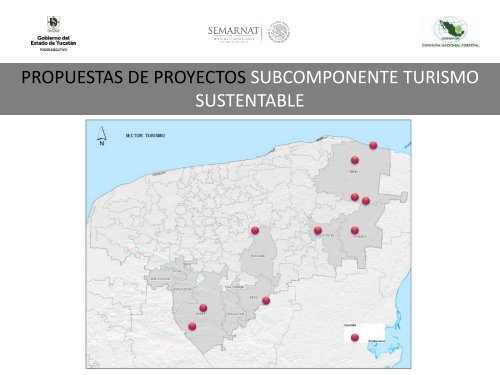 Modelos de Gobernanza Local para Implementar REDD+