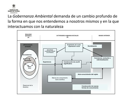 Modelos de Gobernanza Local para Implementar REDD+