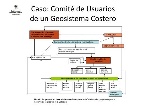 Modelos de Gobernanza Local para Implementar REDD+