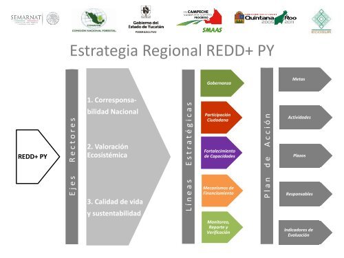 Modelos de Gobernanza Local para Implementar REDD+