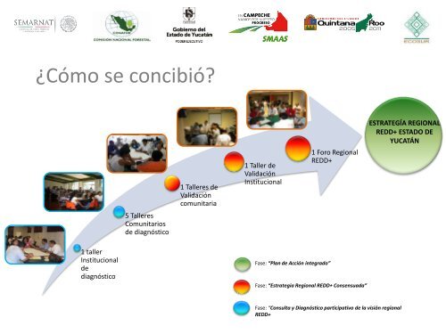 Modelos de Gobernanza Local para Implementar REDD+