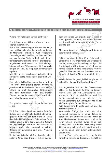 Zahn Und Kieferfehlstellungen Bei Hunden Katzen Und Heimtieren