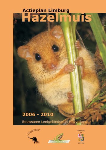 Hazelmuis actieplan 2006-2010 - De Zoogdiervereniging