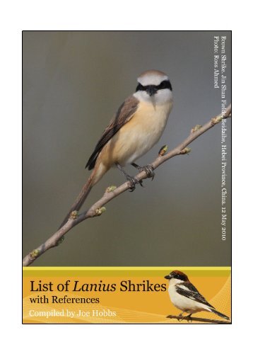 Shrikes references - Irish Rare Birds Committee