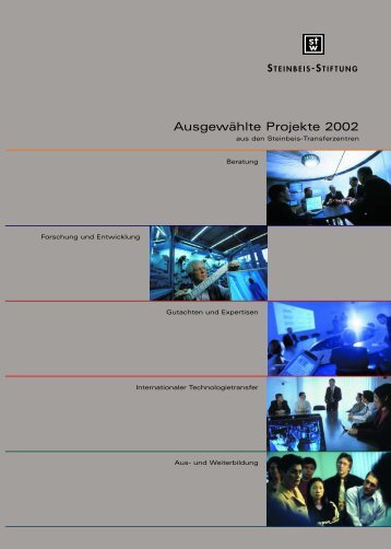 Ausgewählte Projekte 2002 - Steinbeis-Transferzentrum Infothek