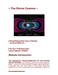 'The Divine Cosmos' pdf - Sandrelli.net