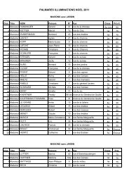 Palmares decos Noel 2011