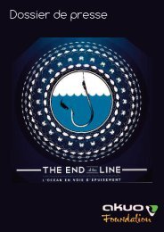 The End of the Line - Akuo Energy