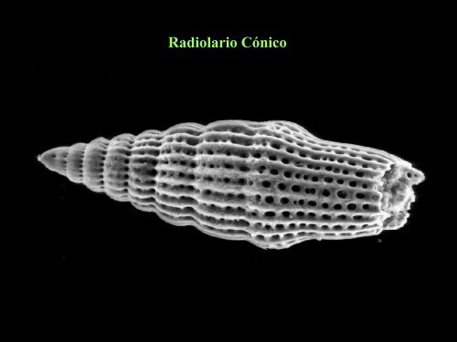 UT 1-2 seres vivos y ciclo biologico.pdf - Iesmaritimopesquerolp.org