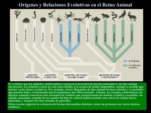 UT 1-2 seres vivos y ciclo biologico.pdf - Iesmaritimopesquerolp.org