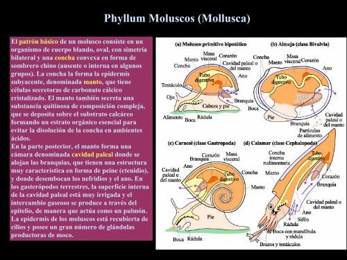 UT 1-2 seres vivos y ciclo biologico.pdf - Iesmaritimopesquerolp.org