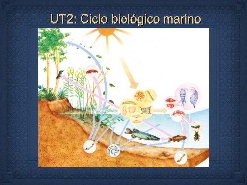 UT 1-2 seres vivos y ciclo biologico.pdf - Iesmaritimopesquerolp.org