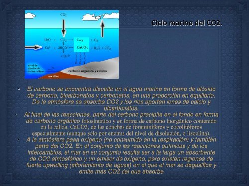 UT 1-2 seres vivos y ciclo biologico.pdf - Iesmaritimopesquerolp.org