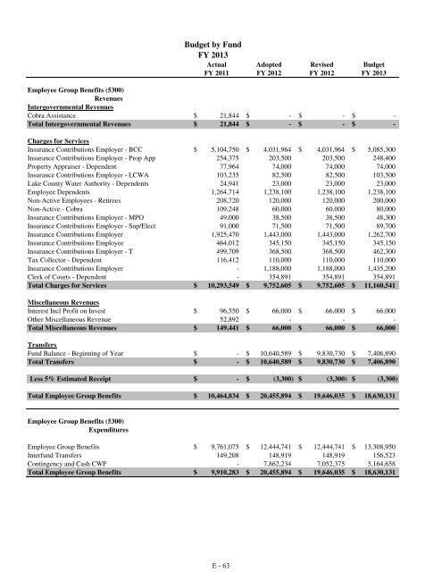 Fiscal Year 2013 Recommended Budget Book - Lake County