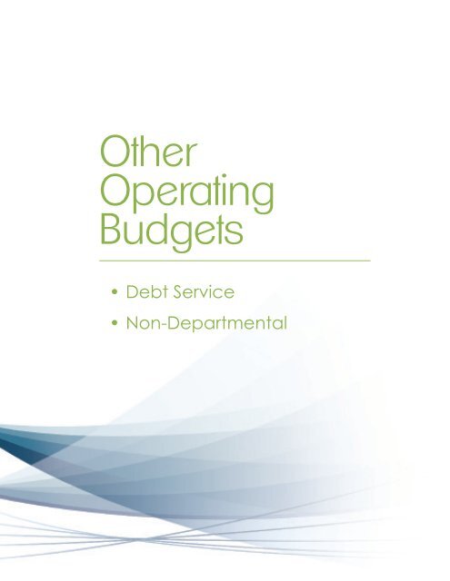 Fiscal Year 2013 Recommended Budget Book - Lake County