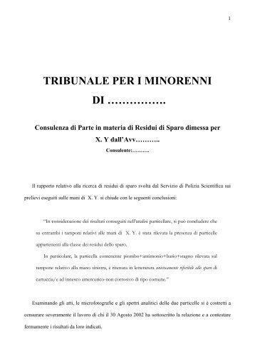 Testo della perizia in formato pdf - Enciclopedia delle Armi di ...