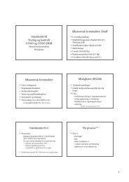 Internkontroll Styring og kontroll COSO og COSO ERM Ãkonomisk ...