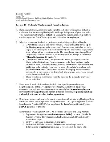 Molecular Mechanisms of Neural Induction. 1. During development ...