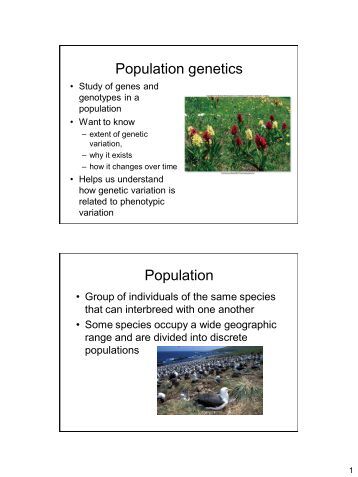 Worksheets Genetic Variation Worksheet worksheet ii population genetics population