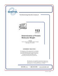 Determination of Protein Molecular Weight - EDVOTEK
