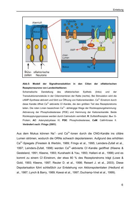 Lokalisation von mRNA-Transkripten auf Gewebeschnitten des ...