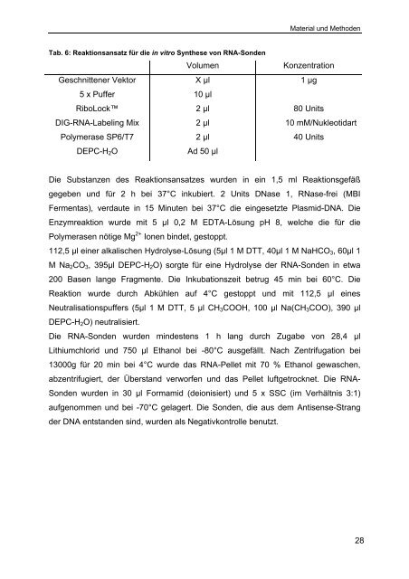 Lokalisation von mRNA-Transkripten auf Gewebeschnitten des ...