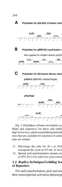 View - ResearchGate