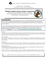 Lovely Llamas Patch Program - Girl Scouts of Northern California