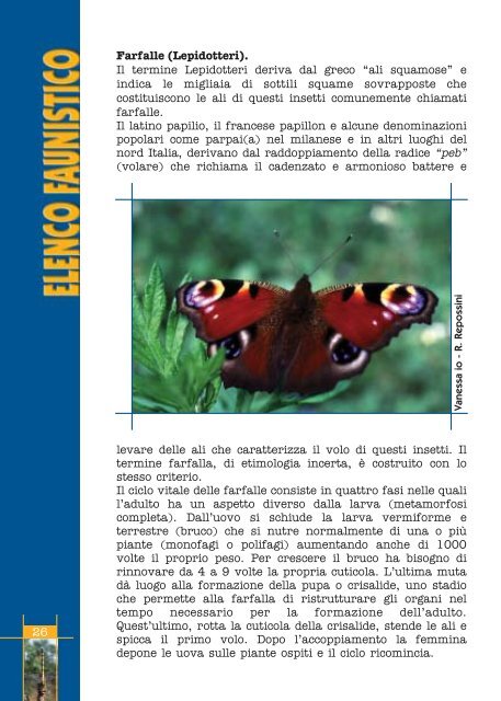 Fauna invertebrati Parco Roccolo - Agenda 21 Est Ticino