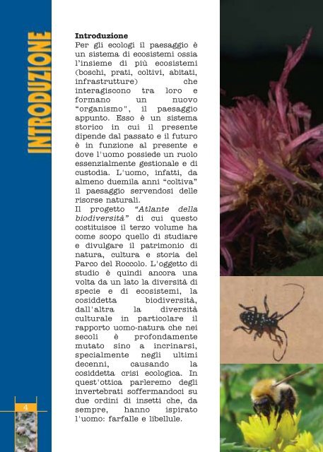 Fauna invertebrati Parco Roccolo - Agenda 21 Est Ticino