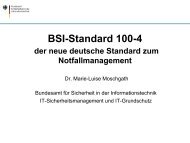 BSI-Standard 100-4