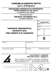 Tav.C - Estratti NTA piano delle regole - Comune di Bonate Sotto